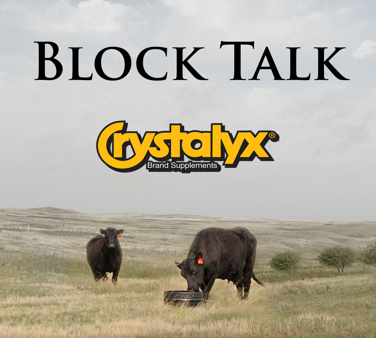 Blcok Talk logo